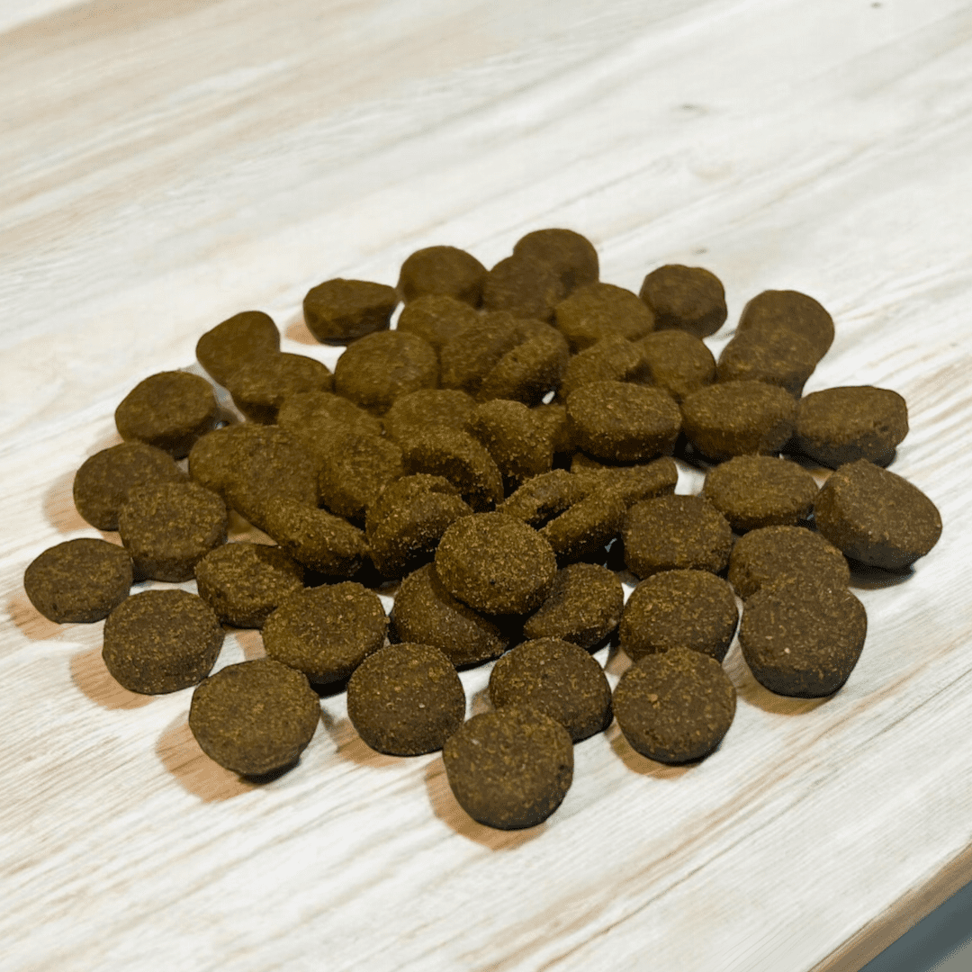 Pienso Hipoalergénico de Salmón para Perros - 2.5 kg